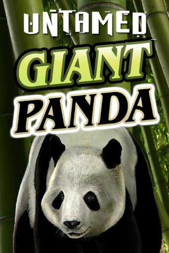 Демо игра Untamed - Giant Panda без регистрации | Champion Slots BY 