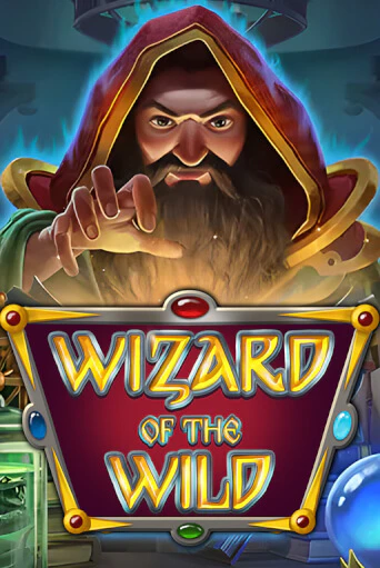 Демо игра Wizard of the Wild без регистрации | Champion Slots BY 