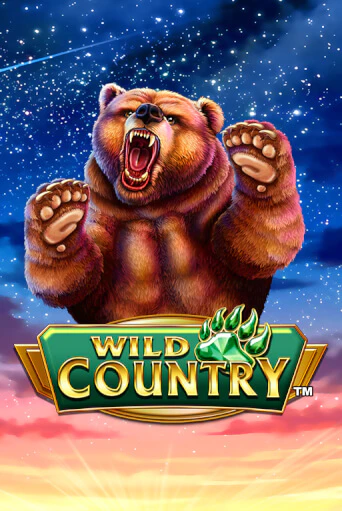 Демо игра Wild Country без регистрации | Champion Slots BY 